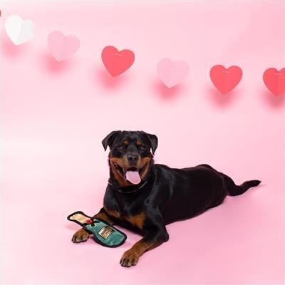 {關門放狗} 美國 Pet Shop by Fringe Studio 香檳造型 啾啾/響紙設計 耐咬寵物玩偶-細節圖3