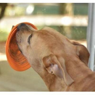 {關門放狗} 美國製造 Pet Zone Bath Buddy 寵物螺旋吸盤慢食缽-細節圖2