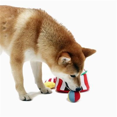 {關門放狗} 加拿大 HugSmart Circus 馬戲團帳棚造型 寵物藏寶益智玩具-細節圖3