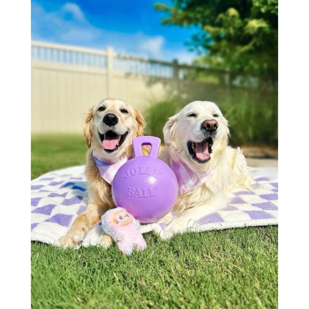 {關門放狗} 美國 Jolly Pets Tug-n-Toss 深水炸彈 寵物水陸兩用球-細節圖5