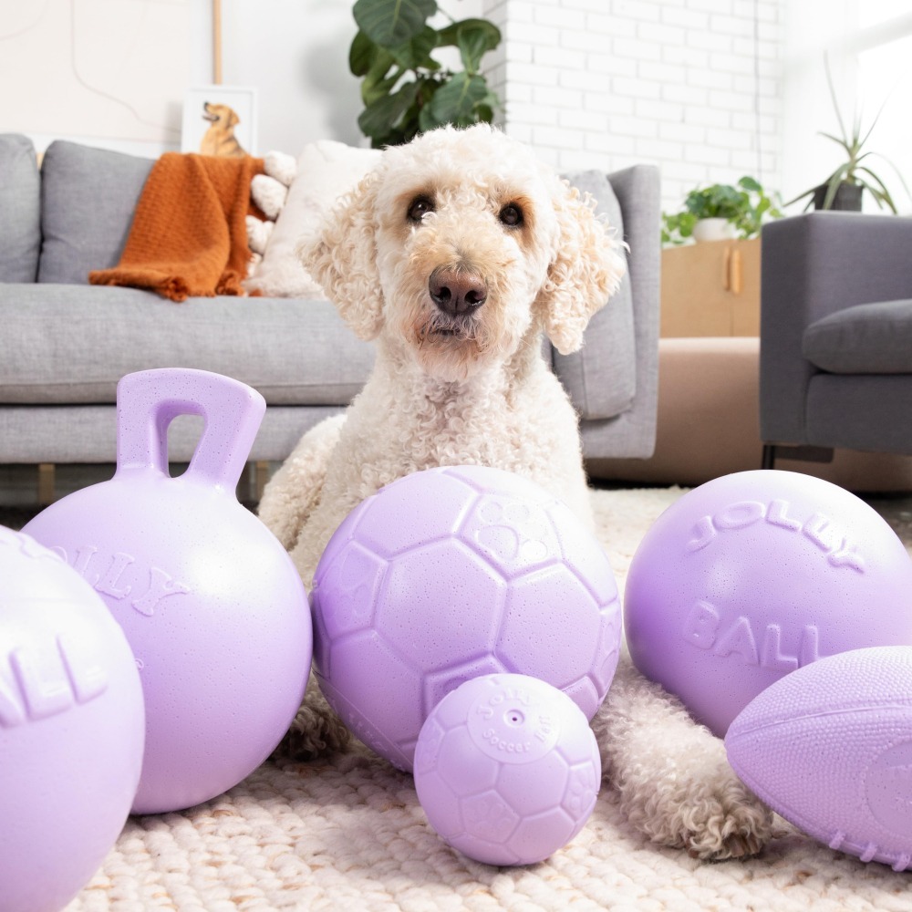 {關門放狗} 美國 Jolly Pets Tug-n-Toss 深水炸彈 寵物水陸兩用球-細節圖6