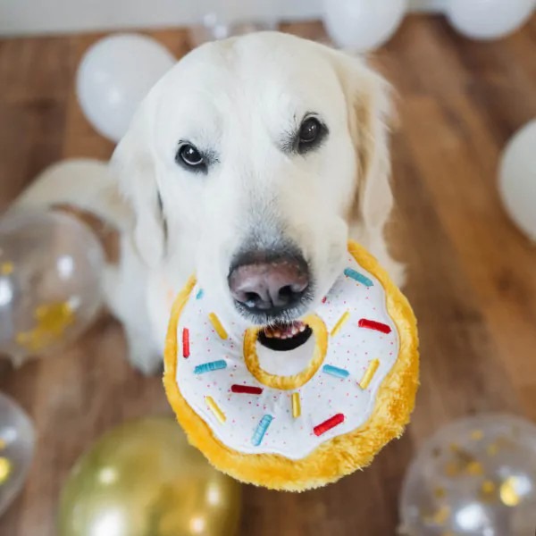 美國 ZippyPaws Birthday Donutz 生日甜甜圈 寵物啾啾玩具-細節圖3