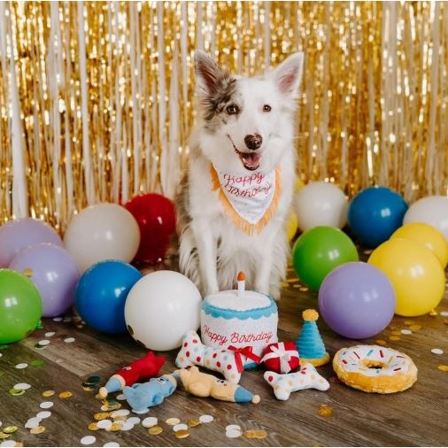 美國 ZippyPaws Birthday Bandana & Bone 寵物生日領巾+骨頭啾啾玩具組-細節圖4