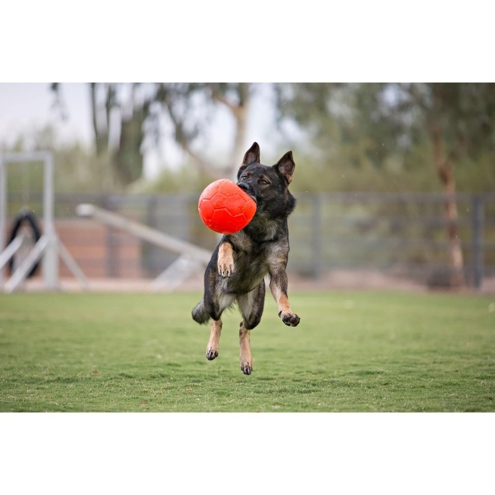 {關門放狗} 美國 Jolly Pets Soccer Ball 美國製造 彈力足球 寵物水陸兩用球-細節圖10