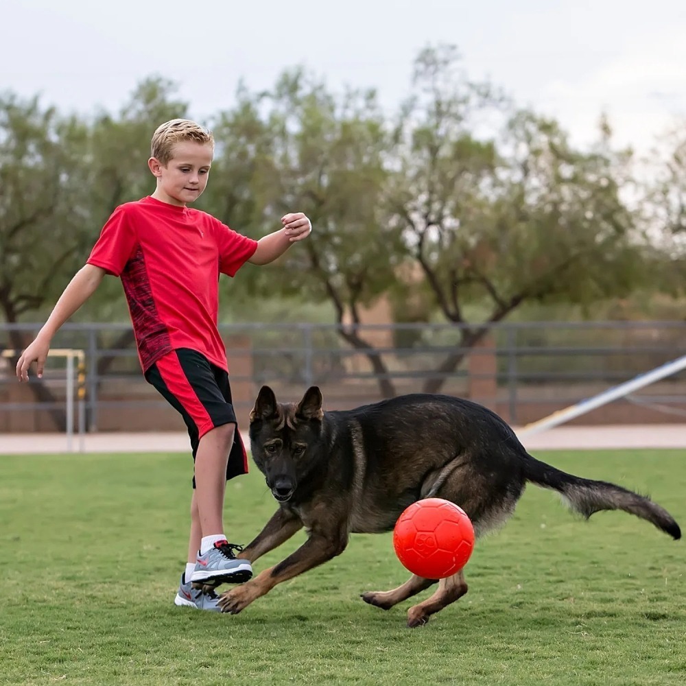 {關門放狗} 美國 Jolly Pets Soccer Ball 美國製造 彈力足球 寵物水陸兩用球-細節圖11
