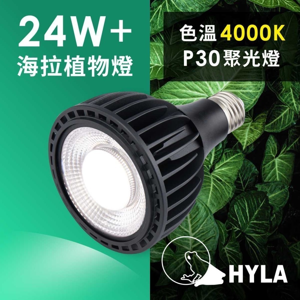 新一代  24W+植物燈泡 海拉植物燈 4200K色溫 PA燈 聚光型 開花植物 龍舌蘭 鹿角蕨 觀葉適用-細節圖2