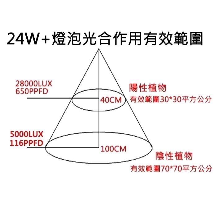 新一代  24W+植物燈泡 海拉植物燈 4200K色溫 PA燈 聚光型 開花植物 龍舌蘭 鹿角蕨 觀葉適用-細節圖4