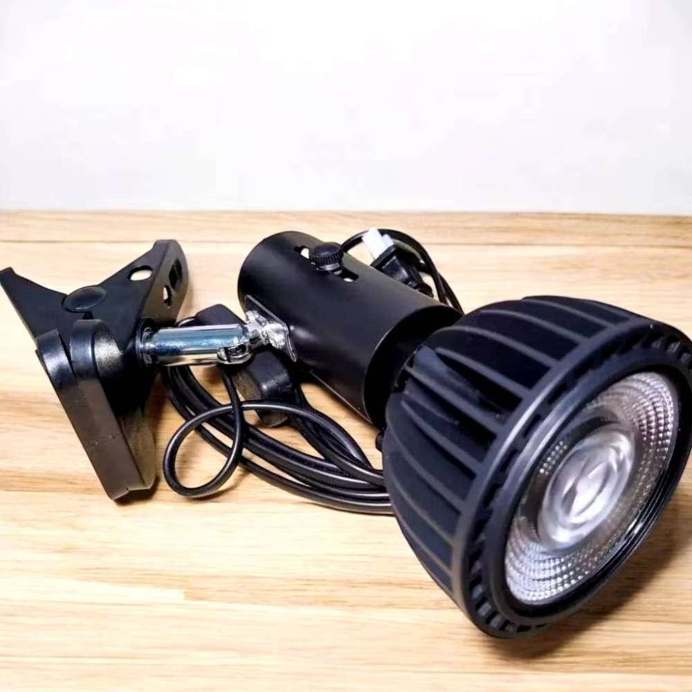 新一代  24W+植物燈泡 海拉植物燈 4200K色溫 PA燈 聚光型 開花植物 龍舌蘭 鹿角蕨 觀葉適用-規格圖8