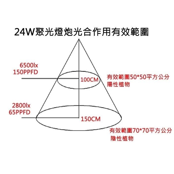 LED 海拉全光譜植物燈 5000K色溫 RA95 24W PA燈聚光型 鹿角蕨 松柏 雨林植物適用-細節圖4