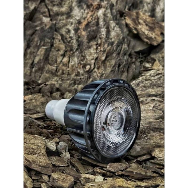 LED 海拉全光譜植物燈 5000K色溫 RA95 24W PA燈聚光型 鹿角蕨 松柏 雨林植物適用-細節圖5