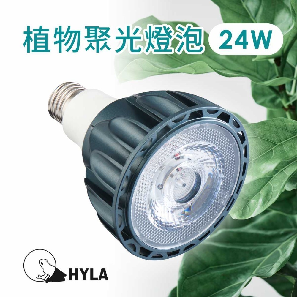 LED 海拉全光譜植物燈 5000K色溫 RA95 24W PA燈聚光型 鹿角蕨 松柏 雨林植物適用-規格圖11