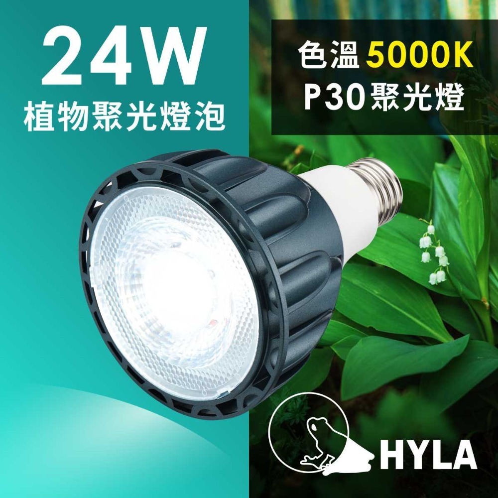 LED 海拉全光譜植物燈 5000K色溫 RA95 24W PA燈聚光型 鹿角蕨 松柏 雨林植物適用-規格圖11