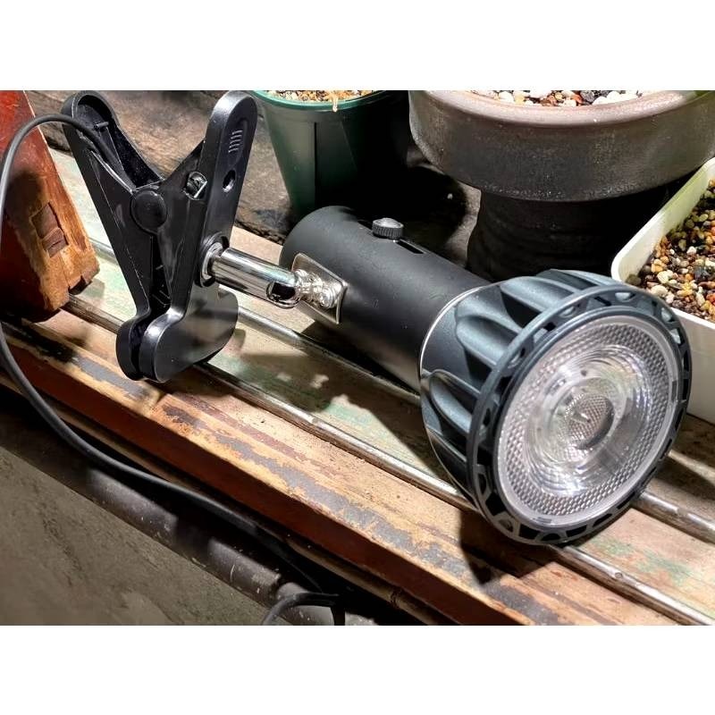 LED 海拉全光譜植物燈 5000K色溫 RA95 24W PA燈聚光型 鹿角蕨 松柏 雨林植物適用-規格圖11