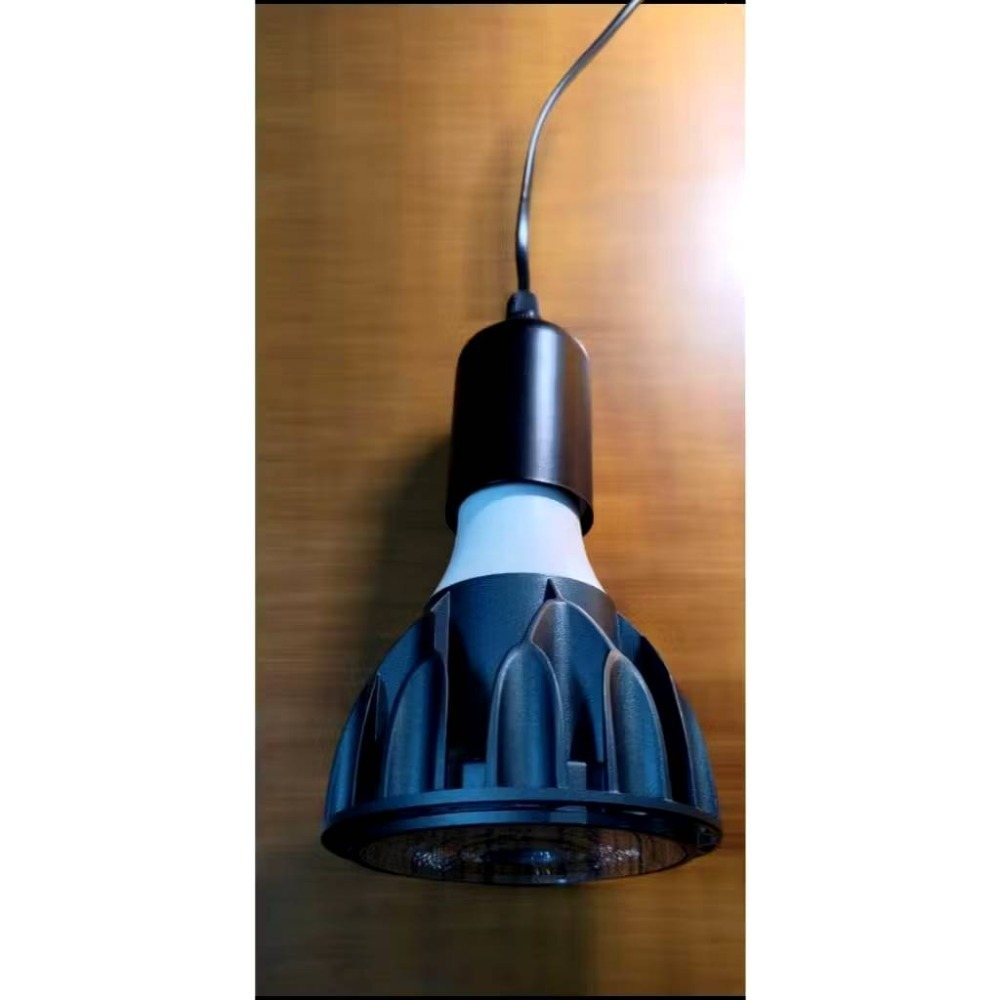 LED 海拉全光譜植物燈 5000K色溫 RA95 24W PA燈聚光型 鹿角蕨 松柏 雨林植物適用-規格圖11