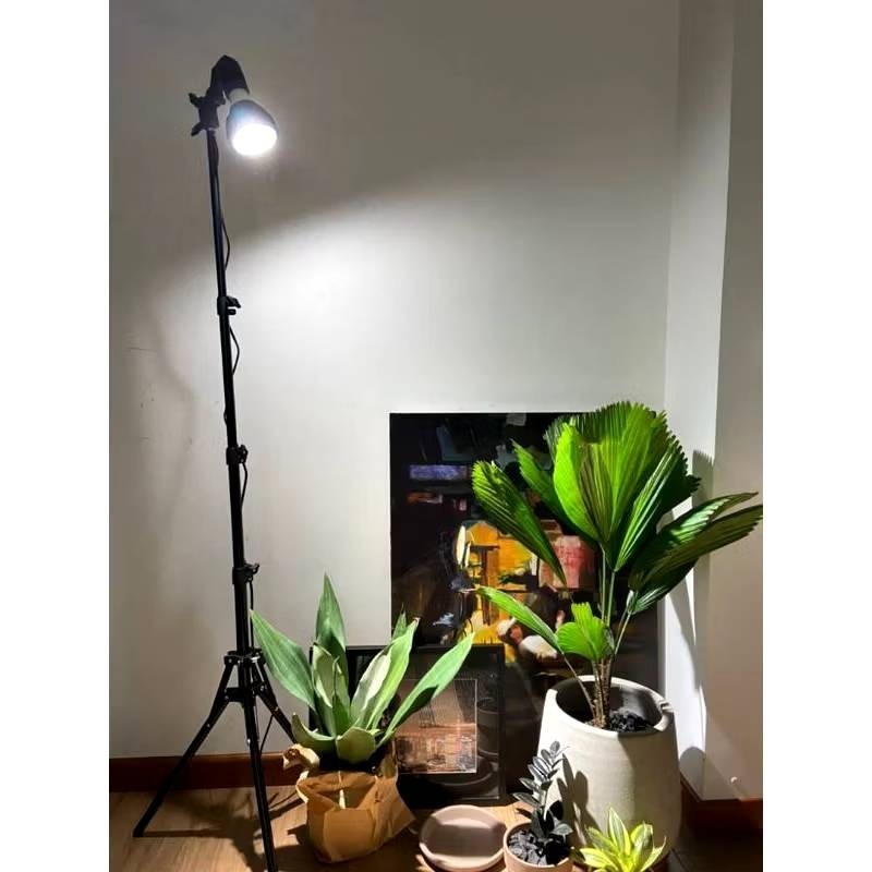 LED 海拉全光譜植物燈 5000K色溫 RA95 24W PA燈聚光型 鹿角蕨 松柏 雨林植物適用-規格圖11