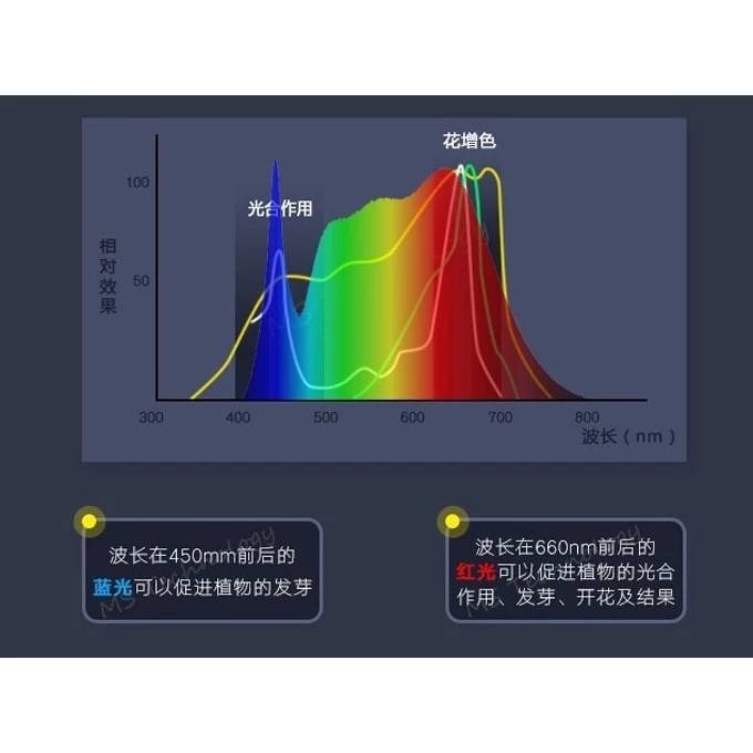 LED 海拉全光譜植物燈 4000K色溫 RA95 13W PA燈聚光型 鹿角蕨 松柏 雨林 多肉 觀葉植物適用-細節圖3
