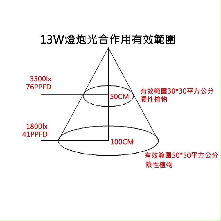 LED 海拉全光譜植物燈 4000K色溫 RA95 13W PA燈聚光型 鹿角蕨 松柏 雨林 多肉 觀葉植物適用-細節圖4