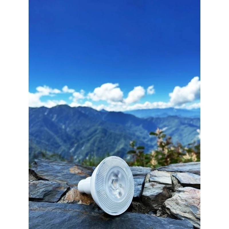 LED 海拉全光譜植物燈 4000K色溫 RA95 13W PA燈聚光型 鹿角蕨 松柏 雨林 多肉 觀葉植物適用-細節圖5