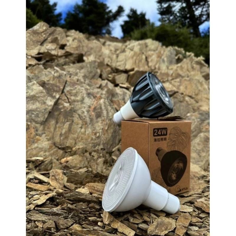 LED 海拉全光譜植物燈 4000K色溫 RA95 13W PA燈聚光型 鹿角蕨 松柏 雨林 多肉 觀葉植物適用-細節圖6