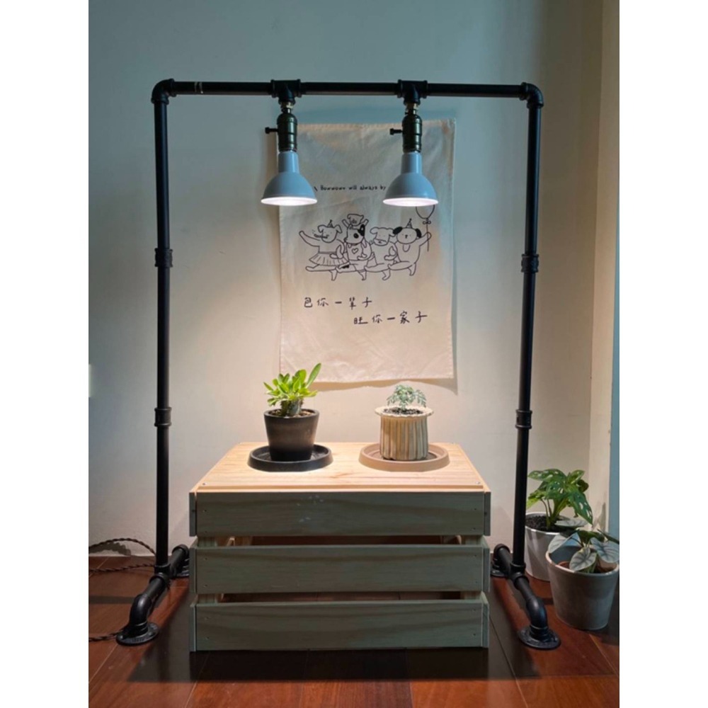 LED 海拉全光譜植物燈 4000K色溫 RA95 13W PA燈聚光型 鹿角蕨 松柏 雨林 多肉 觀葉植物適用-細節圖9