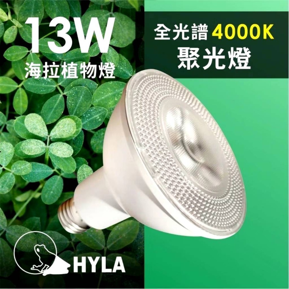 LED 海拉全光譜植物燈 4000K色溫 RA95 13W PA燈聚光型 鹿角蕨 松柏 雨林 多肉 觀葉植物適用-規格圖9