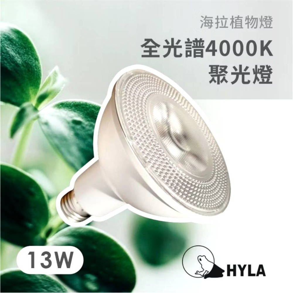 LED 海拉全光譜植物燈 4000K色溫 RA95 13W PA燈聚光型 鹿角蕨 松柏 雨林 多肉 觀葉植物適用-規格圖9