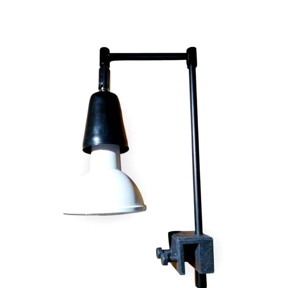 LED 海拉全光譜植物燈 4000K色溫 RA95 13W PA燈聚光型 鹿角蕨 松柏 雨林 多肉 觀葉植物適用-規格圖9