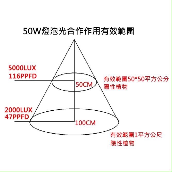 現貨 第二代 海拉植物燈 仿太陽光 RA95高顯色 全光譜 戶外防水 LED投光燈50W， 農業 多肉 花卉 專用照明-細節圖4