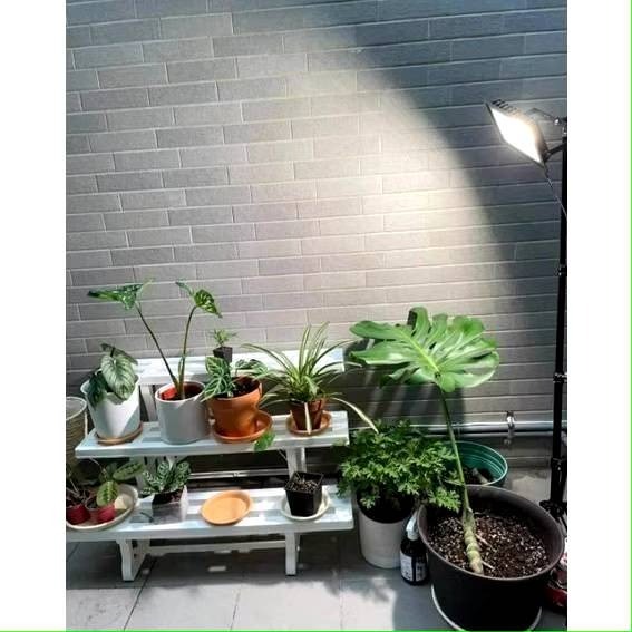 現貨 第二代 海拉植物燈 仿太陽光 RA95高顯色 全光譜 戶外防水 LED投光燈50W， 農業 多肉 花卉 專用照明-細節圖6