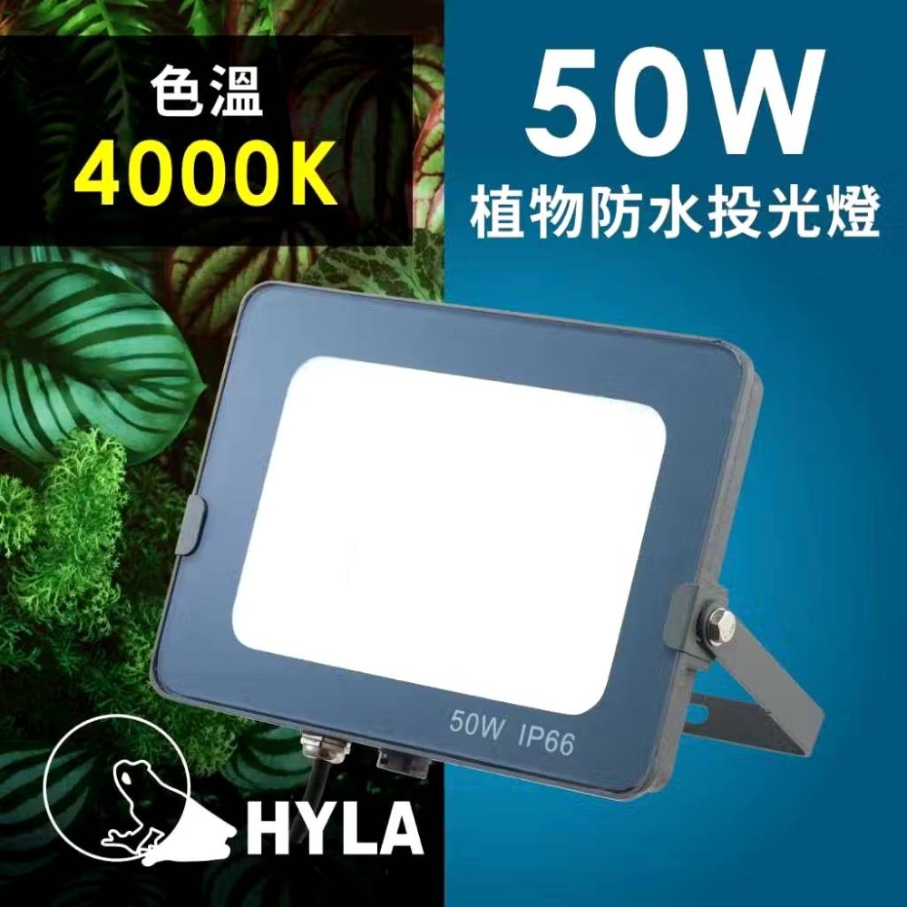 現貨 第二代 海拉植物燈 仿太陽光 RA95高顯色 全光譜 戶外防水 LED投光燈50W， 農業 多肉 花卉 專用照明-規格圖11