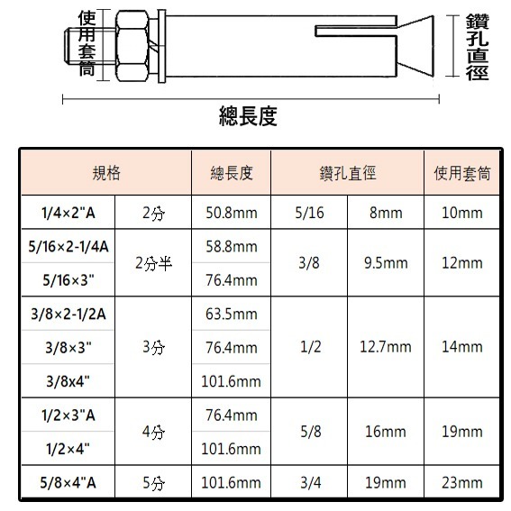 【三兄弟】 平頭壁虎 【5支1包】 2分 2分半 3分 英吋 膨脹螺絲 壁虎螺絲-細節圖3