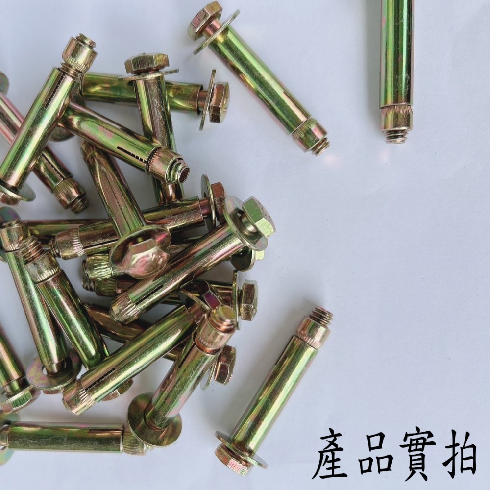 【鴻鈞】 平頭壁虎 【5支1包】 2分 2分半 3分 膨脹螺絲 壁虎螺絲 壁虎-細節圖5