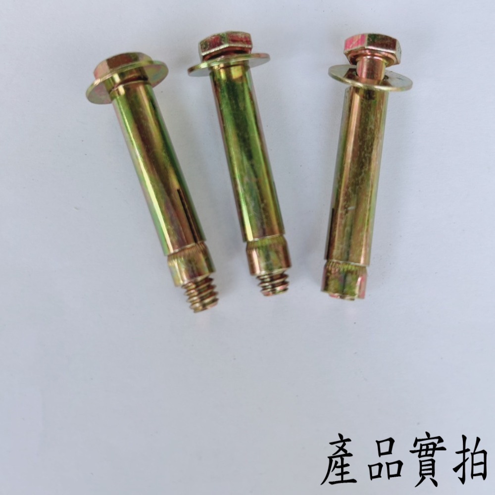 【鴻鈞】 平頭壁虎 【5支1包】 2分 2分半 3分 膨脹螺絲 壁虎螺絲 壁虎-細節圖6