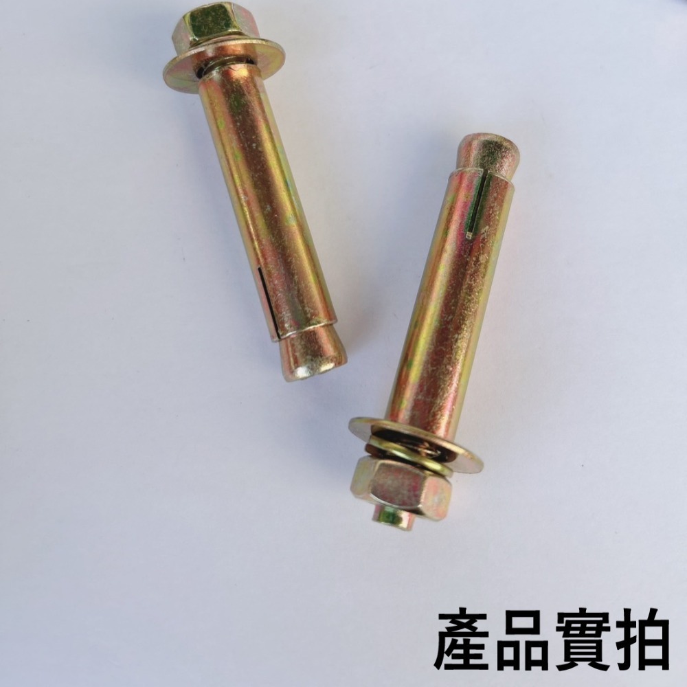 【鴻鈞】 壁虎 【5支1包】 4分 英吋 膨脹螺絲 壁虎螺絲-細節圖5