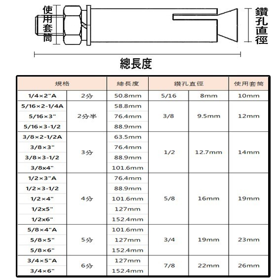【鴻鈞】 壁虎 【5支1包】 2分 2分半 3分 膨脹螺絲 壁虎螺絲-細節圖3