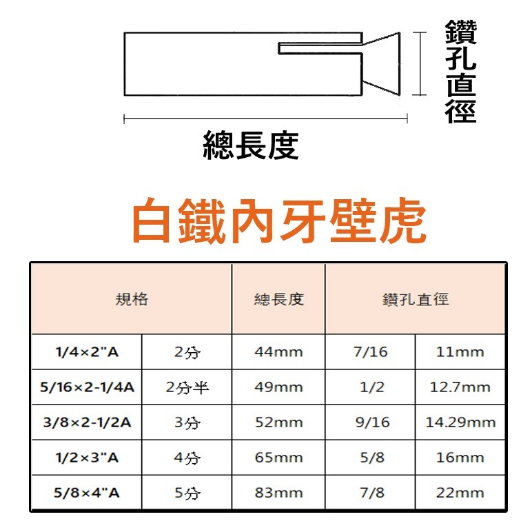 【三兄弟】 白鐵內牙壁虎 【5支1包】 5分 英吋 膨脹螺絲 壁虎螺絲-細節圖3