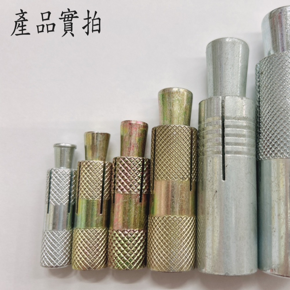 【鴻鈞】 白鐵內牙壁虎 【5支1包】 5分 膨脹螺絲 壁虎 內牙式壁虎 壁虎螺絲-細節圖4
