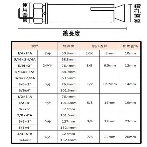 【鴻鈞】 白鐵壁虎 【5支1包】  2分 2分半 3分 膨脹螺絲 壁虎螺絲-細節圖3