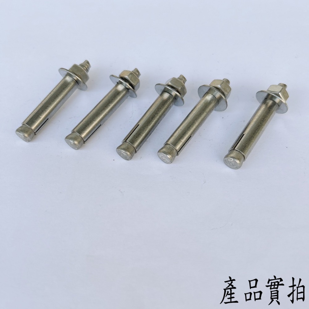 【鴻鈞】 白鐵壁虎 【5支1包】 5分 6分 膨脹螺絲 壁虎螺絲-細節圖4