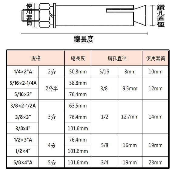 【鴻鈞】 平頭壁虎 【5支1包】 4分 5分 膨脹螺絲 壁虎螺絲 壁虎-細節圖3