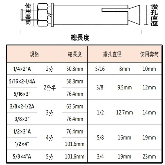 【三兄弟】 白鐵平頭壁虎 【5支1包】 2分 2分半 3分 英吋 膨脹螺絲 壁虎螺絲-細節圖3