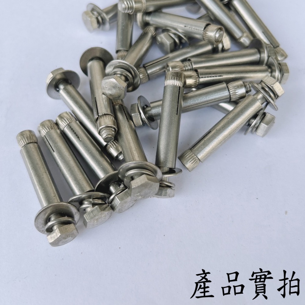 【鴻鈞】 白鐵平頭壁虎 【5支1包】 2分 2分半 3分 膨脹螺絲 壁虎螺絲 壁虎-細節圖4