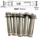 【鴻鈞】 白鐵平頭壁虎 【5支1包】 4分 5分 膨脹螺絲 壁虎螺絲 壁虎-規格圖6