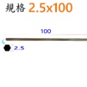 平頭2.5x100mm(長)
