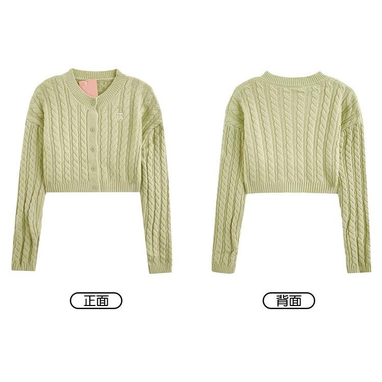 【RENA小舖 台灣現貨每天出】清淨果園🍏｜麻花紋短款針織上衣_/短款/日系/復古/短款/長袖針織【R20864】-細節圖2