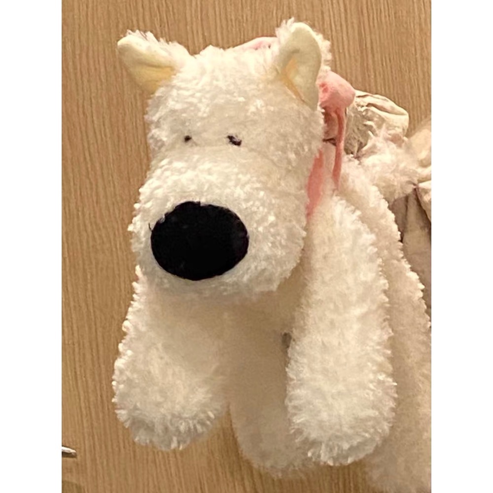 𝖯𝗂𝗀𝗅𝗂𝗄𝖾𝗆𝖾 | 那隻有起床氣的幼兒園小狗🐶 大鼻子白狗 西高地小狗 史納瑞-細節圖2