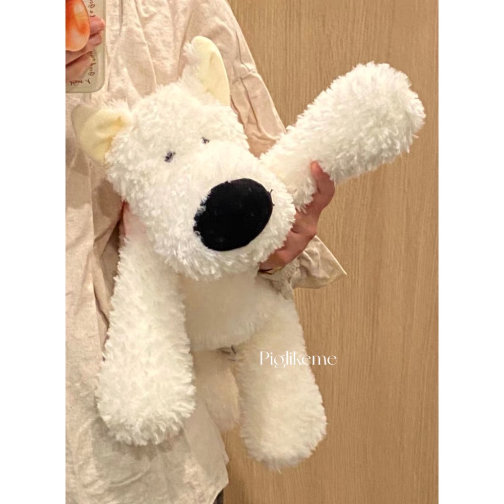 𝖯𝗂𝗀𝗅𝗂𝗄𝖾𝗆𝖾 | 那隻有起床氣的幼兒園小狗🐶 大鼻子白狗 西高地小狗 史納瑞-細節圖3