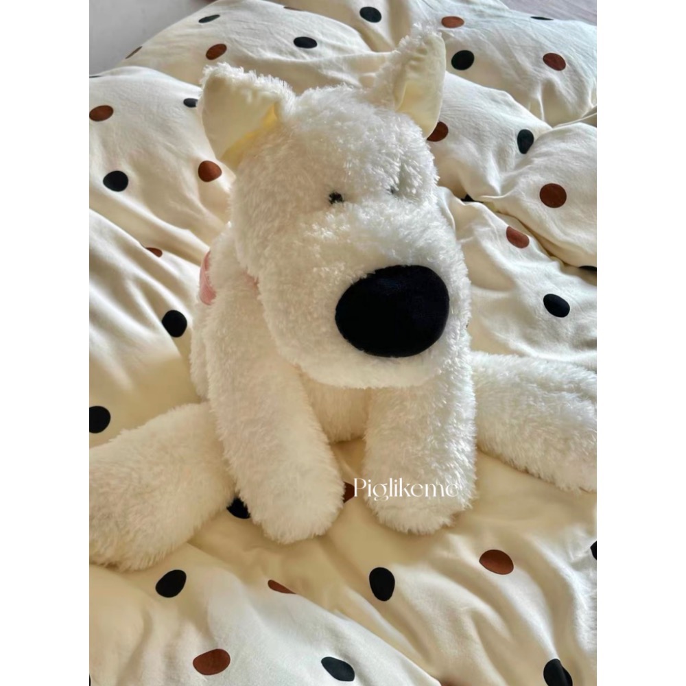 𝖯𝗂𝗀𝗅𝗂𝗄𝖾𝗆𝖾 | 那隻有起床氣的幼兒園小狗🐶 大鼻子白狗 西高地小狗 史納瑞-細節圖5