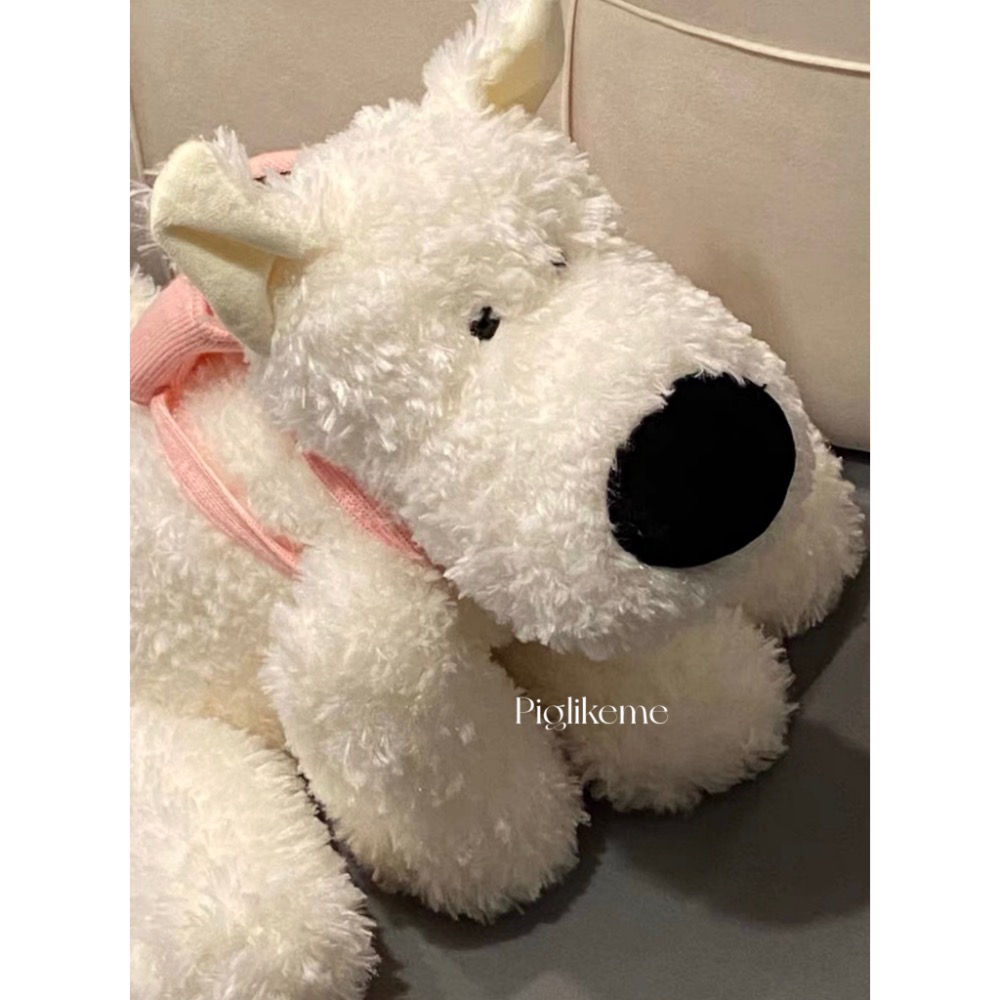 𝖯𝗂𝗀𝗅𝗂𝗄𝖾𝗆𝖾 | 那隻有起床氣的幼兒園小狗🐶 大鼻子白狗 西高地小狗 史納瑞-細節圖8