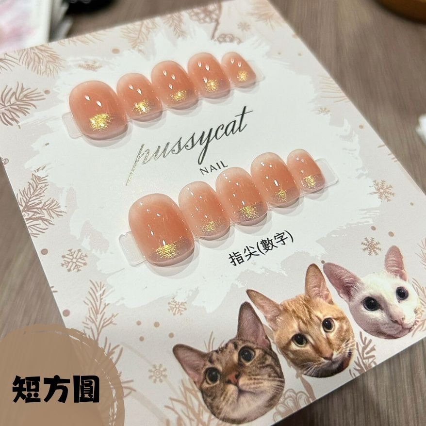 腮紅極光【台灣現貨實拍】純手工美甲片｜手工穿戴甲-規格圖4